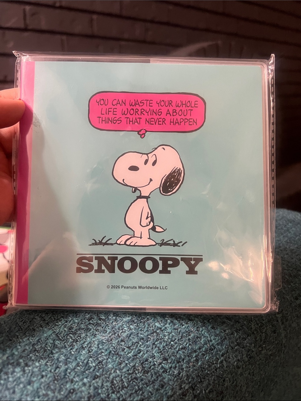 Peanuts Snoopy Notebook